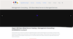 Desktop Screenshot of digitalnethosting.com